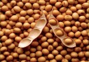 Соевые бобы содержат средство против ВИЧ