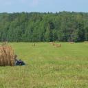 Любовь Ланкина