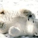 Владимир Мурашкин