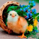 Татьяна Куделя