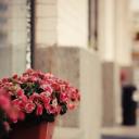 Ольга Клименко