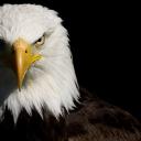 виктория савичева