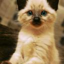 Настя Тюрикова