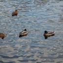 Светлана Матвиенко