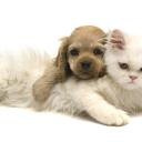 Юля Игоревна