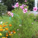 Светлана Лапшина