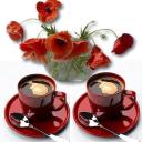 Дарьяна Рич