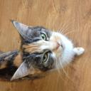 Наташечка Джан