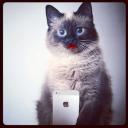 Мария Ланцова