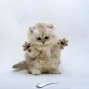 Валерия Громова-Криницкая