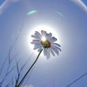 Наталья Суглобова