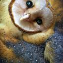 Оля Кучинская