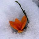 ирина иванова