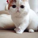 Марина Трофимова