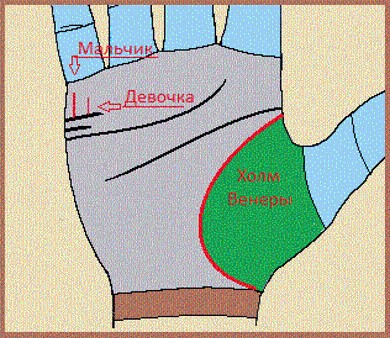 Дамы, не оставьте без внимания!)) ВСЕ ВСЕ ВСЕ!