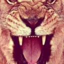 Ирина Гелецкая