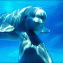 Милана зоркина