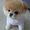 Анастасия Бекетова