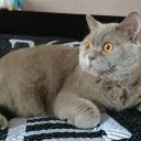 Карина Максимова