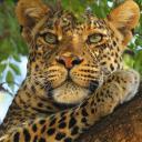 Ксения Демагина