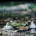 Елена Лосева