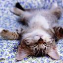 Алияна Гечик