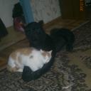 Алина Мракина