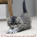 вероника вундр