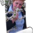 Анна Сильванович