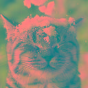 Марина Коваль