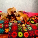 Маргарита Гимадеева