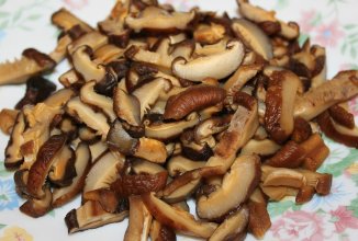 Грибы могут предотвратить рак шейки матки