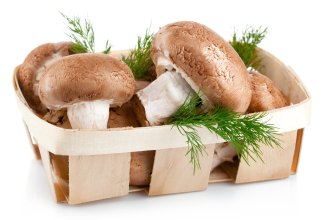 Тайские сми предупреждают: грибы часто смачивают в формальдегиде