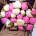 Фатима Газиева