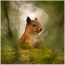 ирина буткеева