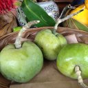 Сапота белая