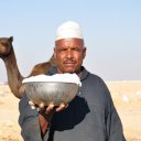 Молоко верблюжье