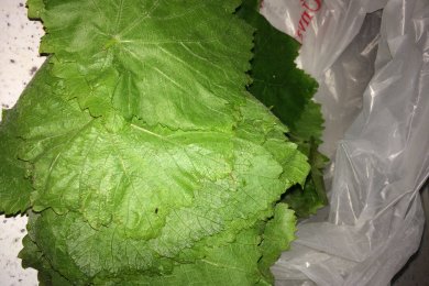 долма смешанный - приготовление