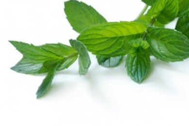 долма смешанный - приготовление