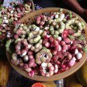 Манильский тамаринд