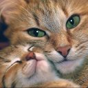 Ольга Сидоренко