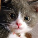 Александра Мисус