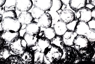 Черника с ванилью