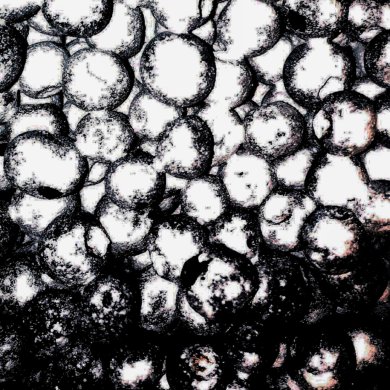 Черника с ванилью - Шаг 1