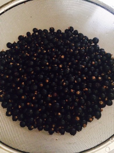 Варенье из черной смородины в мультиварке - Шаг 2