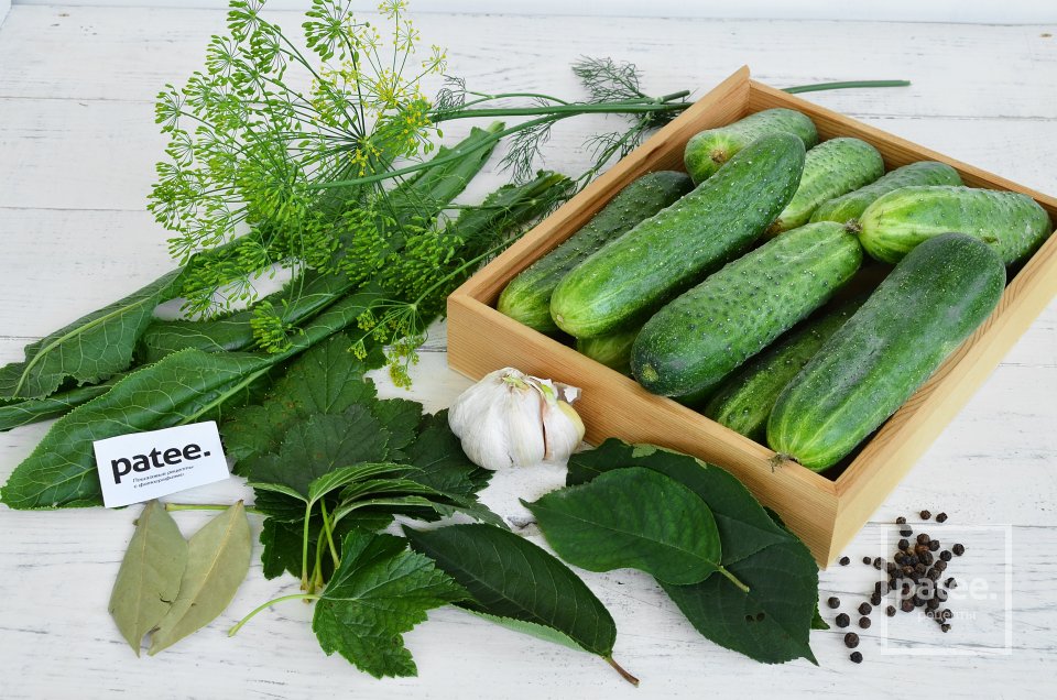 Малосольные огурцы за сутки - Шаг 1