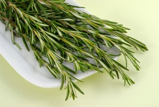 Кулинарные травы борются с диабетом