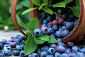 Замораживание черники делает ее полезнее