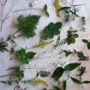 Ольга Кайгородова