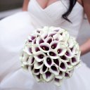 Камилят Алибахарчиева